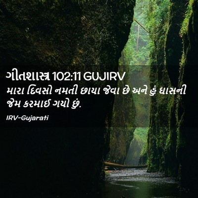 Picture 02 - ગીતશાસ્ત્ર 102:11 GUJIRV - મારા દિવસો નમતી - Bible Verse Picture