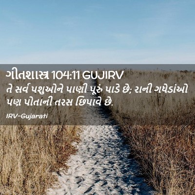 Picture 02 - ગીતશાસ્ત્ર 104:11 GUJIRV - તે સર્વ પશુઓને - Bible Verse Picture