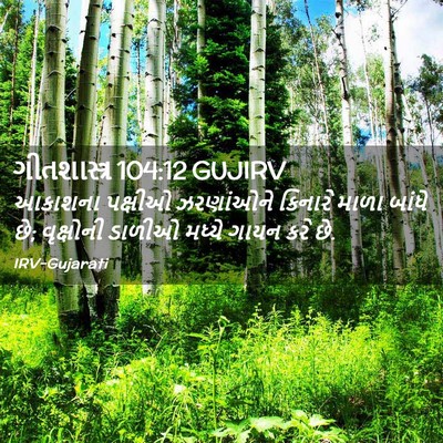Picture 02 - ગીતશાસ્ત્ર 104:12 GUJIRV - આકાશના પક્ષીઓ - Bible Verse Picture