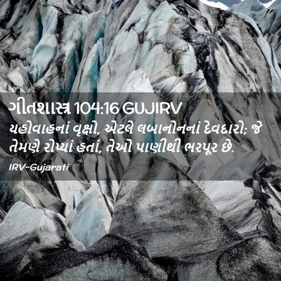 Picture 02 - ગીતશાસ્ત્ર 104:16 GUJIRV - યહોવાહનાં વૃક્ષો, - Bible Verse Picture