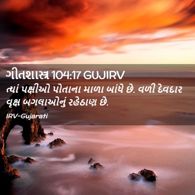 Picture 02 - ગીતશાસ્ત્ર 104:17 GUJIRV - ત્યાં પક્ષીઓ - Bible Verse Picture