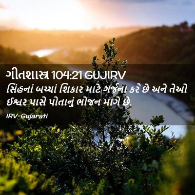 Picture 02 - ગીતશાસ્ત્ર 104:21 GUJIRV - સિંહનાં બચ્ચાં - Bible Verse Picture