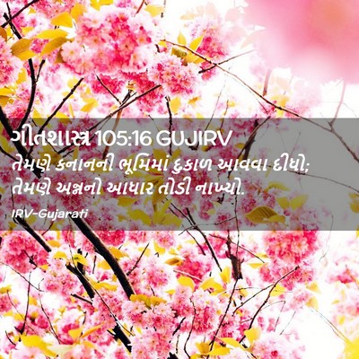 Picture 02 - ગીતશાસ્ત્ર 105:16 GUJIRV - તેમણે કનાનની - Bible Verse Picture