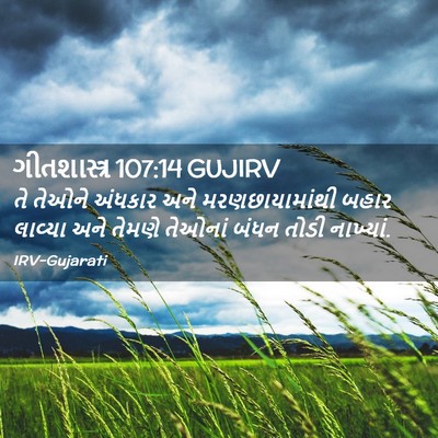 Picture 02 - ગીતશાસ્ત્ર 107:14 GUJIRV - તે તેઓને અંધકાર - Bible Verse Picture