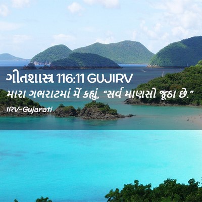 Picture 02 - ગીતશાસ્ત્ર 116:11 GUJIRV - મારા ગભરાટમાં મેં - Bible Verse Picture