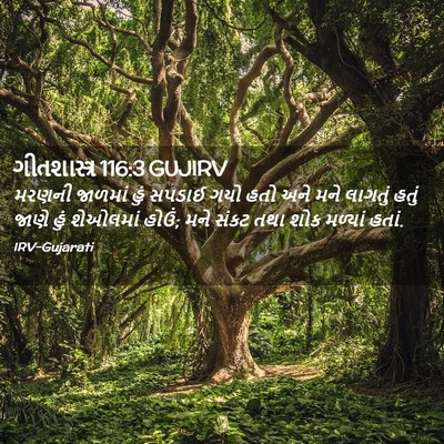 Picture 02 - ગીતશાસ્ત્ર 116:3 GUJIRV - મરણની જાળમાં હું - Bible Verse Picture