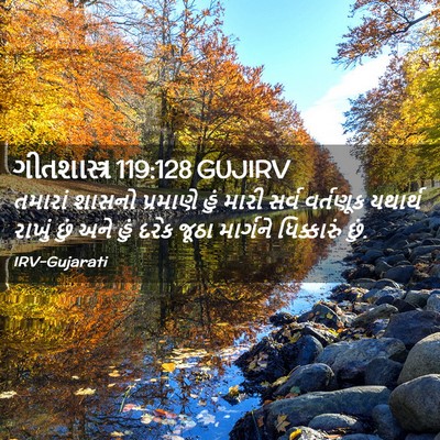 Picture 02 - ગીતશાસ્ત્ર 119:128 GUJIRV - તમારાં શાસનો - Bible Verse Picture