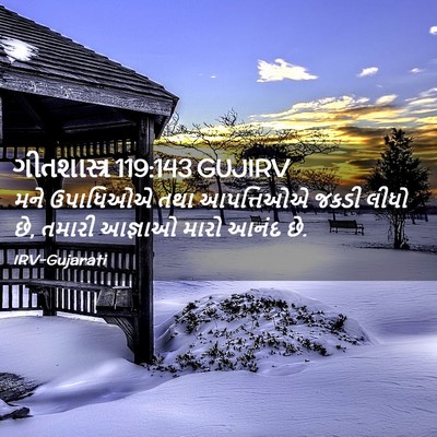 Picture 02 - ગીતશાસ્ત્ર 119:143 GUJIRV - મને ઉપાધિઓએ તથા - Bible Verse Picture