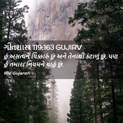 Picture 02 - ગીતશાસ્ત્ર 119:163 GUJIRV - હું અસત્યને - Bible Verse Picture