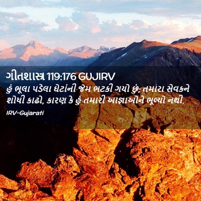 Picture 02 - ગીતશાસ્ત્ર 119:176 GUJIRV - હું ભૂલા પડેલા - Bible Verse Picture