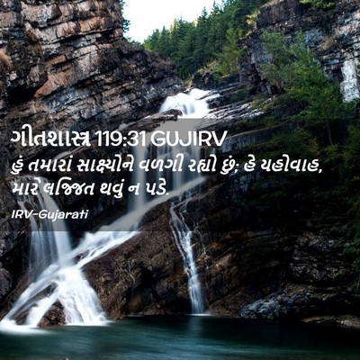 Picture 02 - ગીતશાસ્ત્ર 119:31 GUJIRV - હું તમારાં - Bible Verse Picture