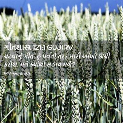 Picture 02 - ગીતશાસ્ત્ર 121:1 GUJIRV - ચઢવાનું ગીત. હું - Bible Verse Picture