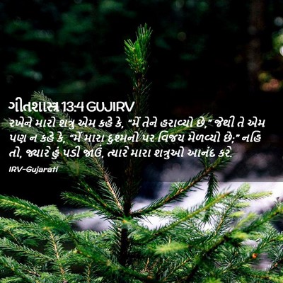 Picture 02 - ગીતશાસ્ત્ર 13:4 GUJIRV - રખેને મારો શત્રુ - Bible Verse Picture