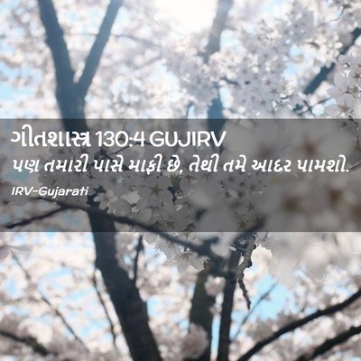 Picture 02 - ગીતશાસ્ત્ર 130:4 GUJIRV - પણ તમારી પાસે માફી - Bible Verse Picture