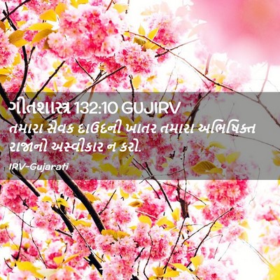 Picture 02 - ગીતશાસ્ત્ર 132:10 GUJIRV - તમારા સેવક દાઉદની - Bible Verse Picture