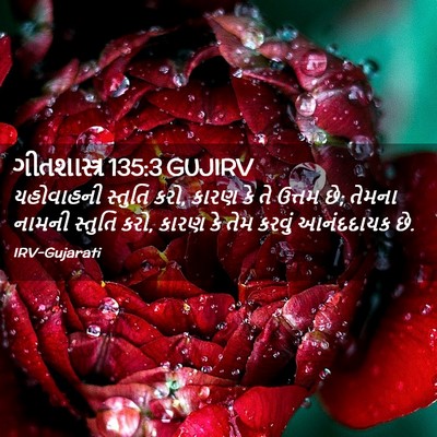 Picture 02 - ગીતશાસ્ત્ર 135:3 GUJIRV - યહોવાહની સ્તુતિ - Bible Verse Picture