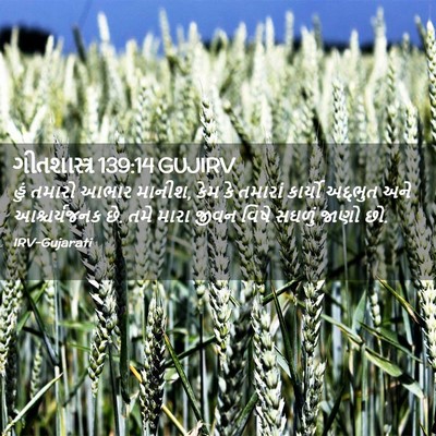 Picture 02 - ગીતશાસ્ત્ર 139:14 GUJIRV - હું તમારો આભાર - Bible Verse Picture