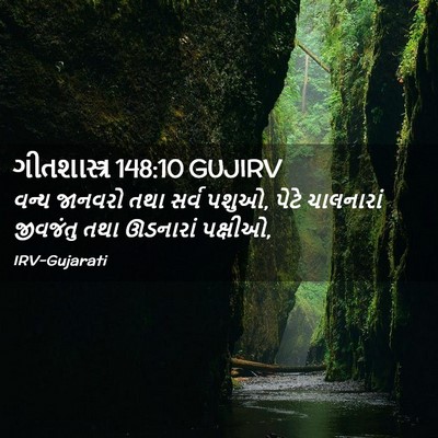 Picture 02 - ગીતશાસ્ત્ર 148:10 GUJIRV - વન્ય જાનવરો તથા - Bible Verse Picture