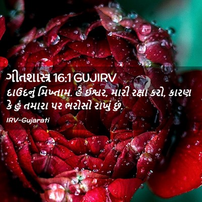 Picture 02 - ગીતશાસ્ત્ર 16:1 GUJIRV - દાઉદનું મિખ્તામ. - Bible Verse Picture