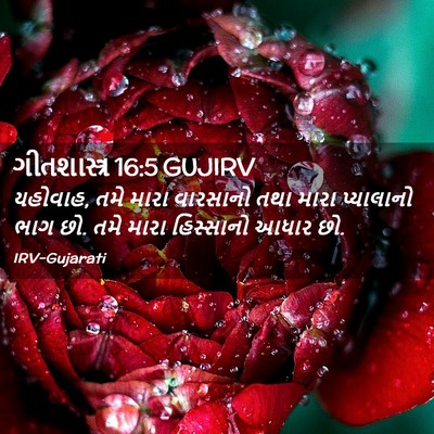 Picture 02 - ગીતશાસ્ત્ર 16:5 GUJIRV - યહોવાહ, તમે મારા - Bible Verse Picture