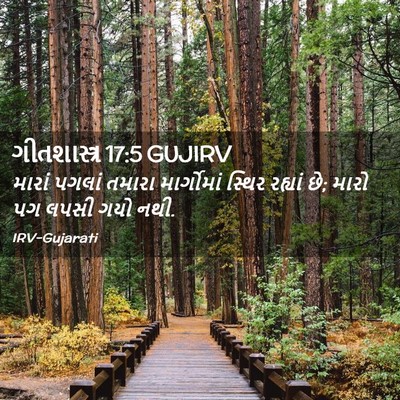 Picture 02 - ગીતશાસ્ત્ર 17:5 GUJIRV - મારાં પગલાં તમારા - Bible Verse Picture