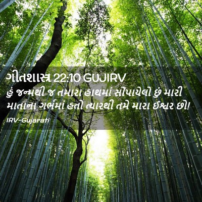 Picture 02 - ગીતશાસ્ત્ર 22:10 GUJIRV - હું જન્મથી જ તમારા - Bible Verse Picture