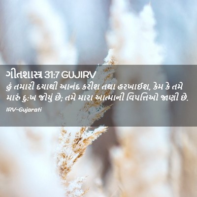 Picture 02 - ગીતશાસ્ત્ર 31:7 GUJIRV - હું તમારી દયાથી - Bible Verse Picture