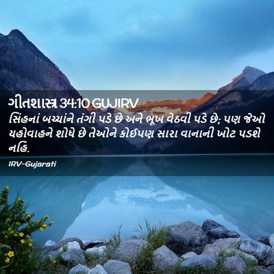 Picture 02 - ગીતશાસ્ત્ર 34:10 GUJIRV - સિંહનાં બચ્ચાંને - Bible Verse Picture