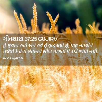 Picture 02 - ગીતશાસ્ત્ર 37:25 GUJIRV - હું જુવાન હતો અને - Bible Verse Picture