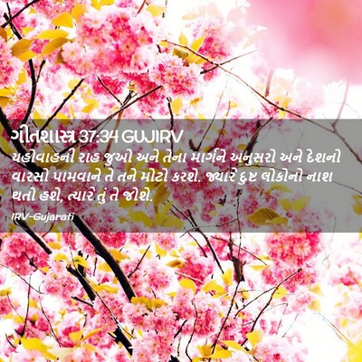 Picture 02 - ગીતશાસ્ત્ર 37:34 GUJIRV - યહોવાહની રાહ જુઓ - Bible Verse Picture