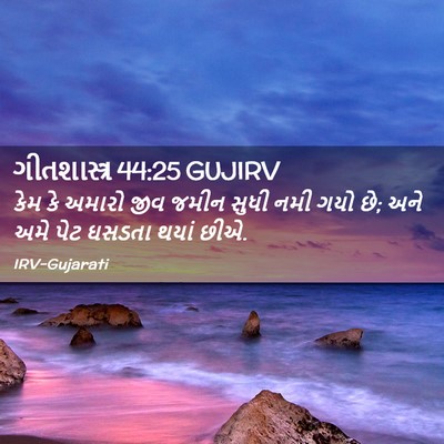Picture 02 - ગીતશાસ્ત્ર 44:25 GUJIRV - કેમ કે અમારો જીવ - Bible Verse Picture