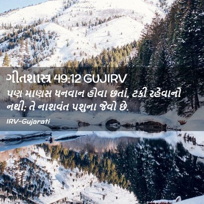 Picture 02 - ગીતશાસ્ત્ર 49:12 GUJIRV - પણ માણસ ધનવાન હોવા - Bible Verse Picture