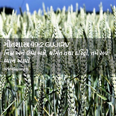 Picture 02 - ગીતશાસ્ત્ર 49:2 GUJIRV - નિમ્ન અને ઉચ્ચ - Bible Verse Picture