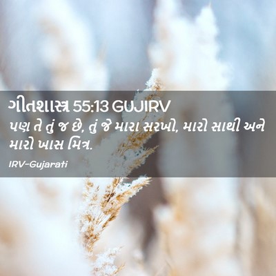 Picture 02 - ગીતશાસ્ત્ર 55:13 GUJIRV - પણ તે તું જ છે, તું - Bible Verse Picture