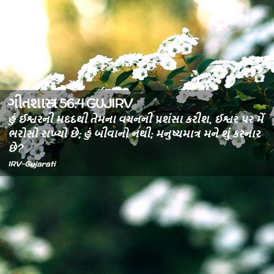 Picture 02 - ગીતશાસ્ત્ર 56:4 GUJIRV - હું ઈશ્વરની મદદથી - Bible Verse Picture