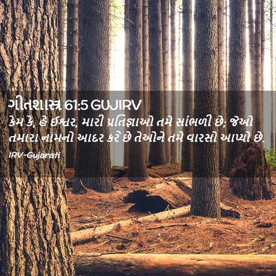 Picture 02 - ગીતશાસ્ત્ર 61:5 GUJIRV - કેમ કે, હે ઈશ્વર, - Bible Verse Picture