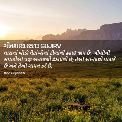 Picture 02 - ગીતશાસ્ત્ર 65:13 GUJIRV - ઘાસનાં બીડો - Bible Verse Picture