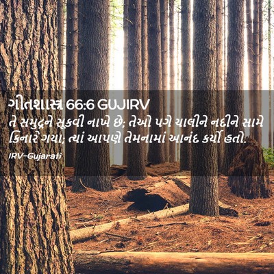 Picture 02 - ગીતશાસ્ત્ર 66:6 GUJIRV - તે સમુદ્રને સૂકવી - Bible Verse Picture