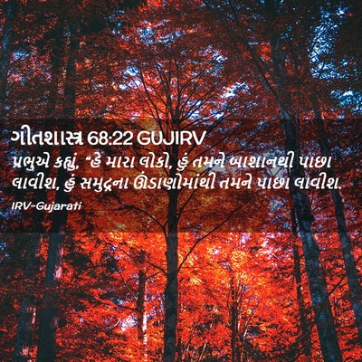 Picture 02 - ગીતશાસ્ત્ર 68:22 GUJIRV - પ્રભુએ કહ્યું, “હે - Bible Verse Picture