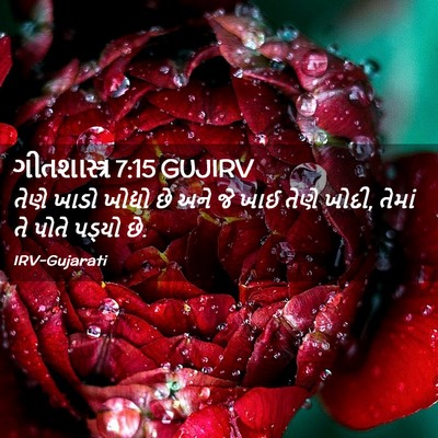 Picture 02 - ગીતશાસ્ત્ર 7:15 GUJIRV - તેણે ખાડો ખોદ્યો - Bible Verse Picture