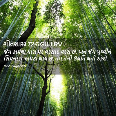 Picture 02 - ગીતશાસ્ત્ર 72:6 GUJIRV - જેમ કાપેલા ઘાસ પર - Bible Verse Picture