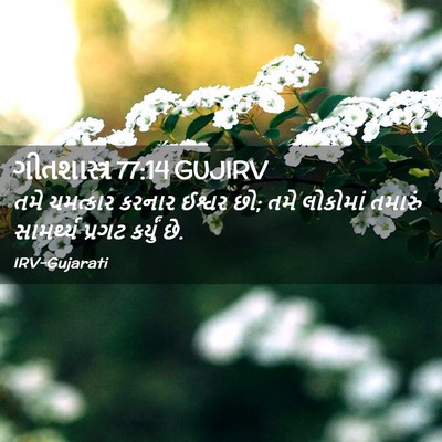 Picture 02 - ગીતશાસ્ત્ર 77:14 GUJIRV - તમે ચમત્કાર કરનાર - Bible Verse Picture