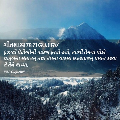 Picture 02 - ગીતશાસ્ત્ર 78:71 GUJIRV - દૂઝણી ઘેટીઓની - Bible Verse Picture