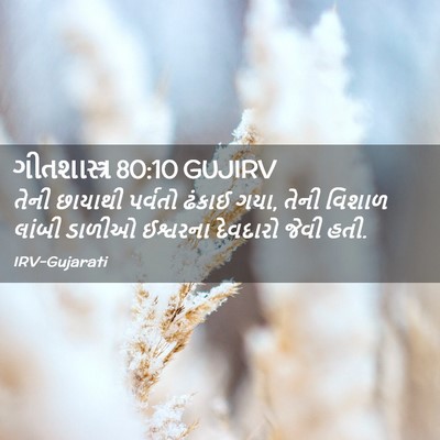 Picture 02 - ગીતશાસ્ત્ર 80:10 GUJIRV - તેની છાયાથી - Bible Verse Picture