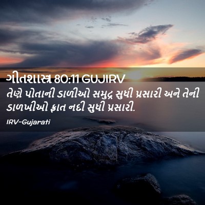 Picture 02 - ગીતશાસ્ત્ર 80:11 GUJIRV - તેણે પોતાની ડાળીઓ - Bible Verse Picture