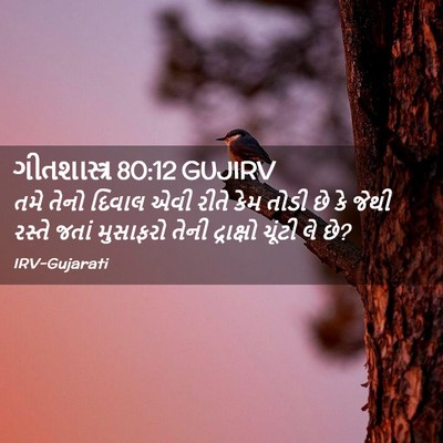 Picture 02 - ગીતશાસ્ત્ર 80:12 GUJIRV - તમે તેનો દિવાલ એવી - Bible Verse Picture