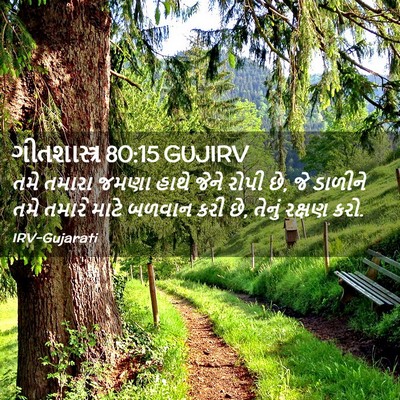 Picture 02 - ગીતશાસ્ત્ર 80:15 GUJIRV - તમે તમારા જમણા - Bible Verse Picture