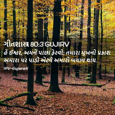 Picture 02 - ગીતશાસ્ત્ર 80:3 GUJIRV - હે ઈશ્વર, અમને પાછા - Bible Verse Picture