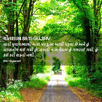 Picture 02 - ગીતશાસ્ત્ર 88:15 GUJIRV - મારી યુવાવસ્થાથી - Bible Verse Picture