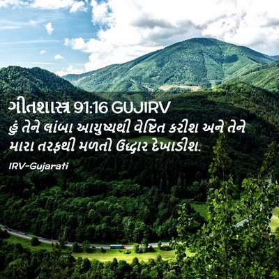 Picture 02 - ગીતશાસ્ત્ર 91:16 GUJIRV - હું તેને લાંબા - Bible Verse Picture